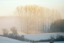 Nebel muß nicht düster sein....