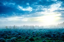Hochmoor Tecklenbruch