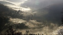November im Pfälzerwald