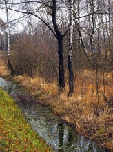 Hohes Venn im November