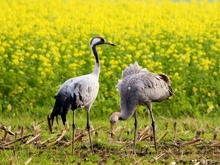 Vater und Sohn