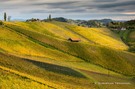 Südsteirische Weinstraße im goldenen Herbst
