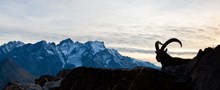 Französische Alpen