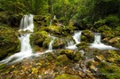 Bärenschützklamm in der Steiermark