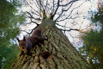 Hallo, Jemand zu Hause