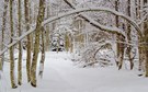Eingangspforte zum Winterglück