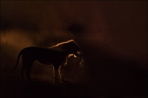 mitten in der Nacht