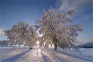 endlich Winter