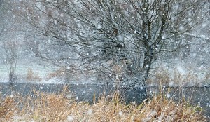 Schneesturm im Rheinland...