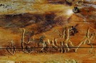 Die Kunst des Holzwurms...