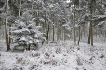 Der Winter ist zurück