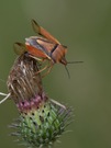 Abflug