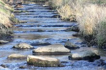 Im Revier der Wasseramsel