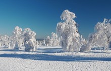 Wintertraum