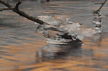 Eisente beim Landeanflug?