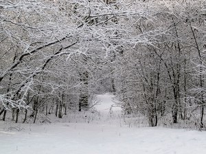 Schnee von Gestern