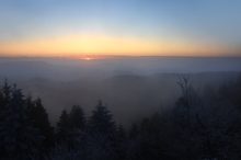 Schwarzwaldnebel