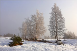 Frost auf der Grinde