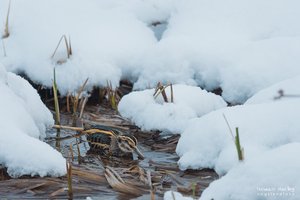 Winter im Heuhaufen