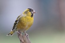 Pünktlich wie (fast) jedes Jahr