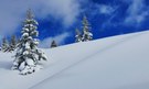 Winterlich, harmonisch, diagonal