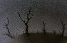 Karge Winterlandschaft bei Nacht ....