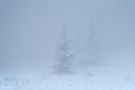 Eisiger Nebel