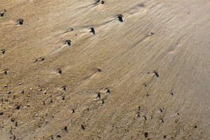 Strukturen am Strand