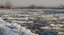 Eisgang auf der Elbe