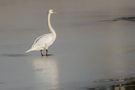 auf dem Weg zum Eisloch