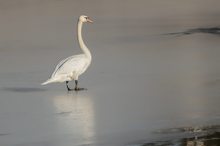 auf dem Weg zum Eisloch