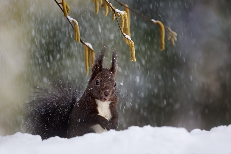 Der Winter ist zurück