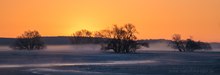 Eiskalter Spätwintermorgen an der Oder