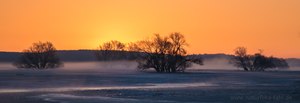 Eiskalter Spätwintermorgen an der Oder