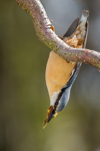 Trotz Wintereinbruch