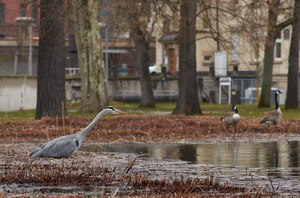 Mitten in der Stadt