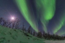 Aurora über Abisko