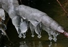 Eiszapfen