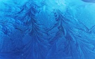 Blau leuchtende Eisblumen