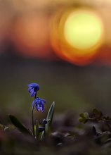 Farbengegensätze bei Sonnenuntergang