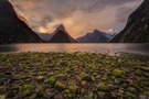 Milford Sound