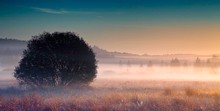 Oktobermorgen im Hohen Venn