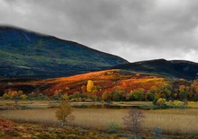 Herbstmorgen in SChottland