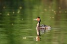 Wassertaxi in der Abendsonne