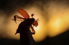 Abflug in die Nacht