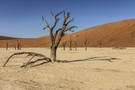 Namib