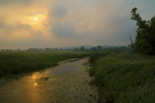 Unteres Odertal im Morgennebel