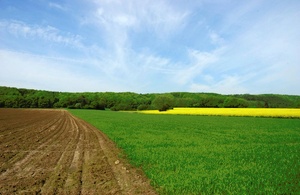 Farben des  Frühlings