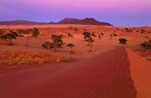 Namib ND