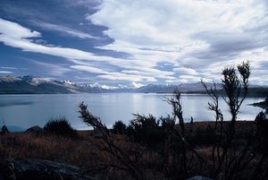 Lake Pukaki mit Mt Cook ND